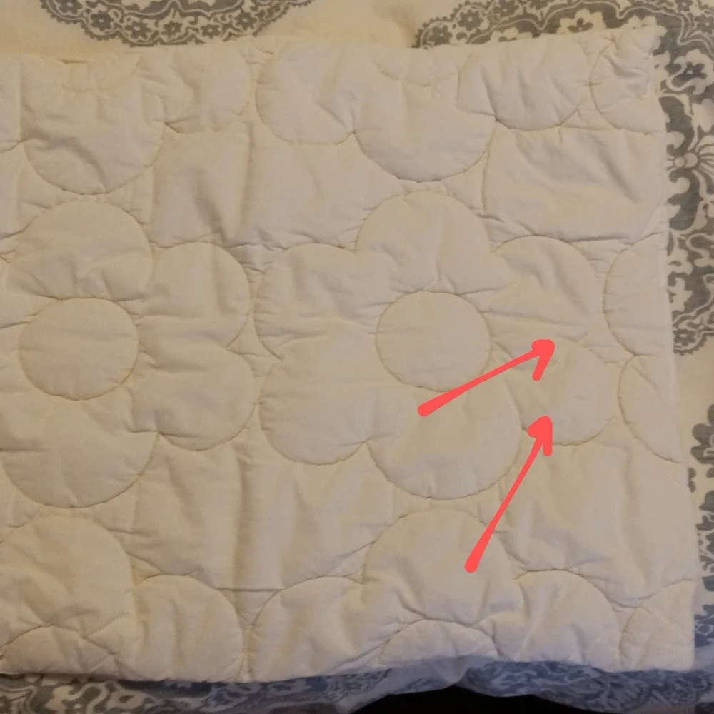 Urban Outfitters Daisy Puff  Quilted Single Standard Sham With Flower Design